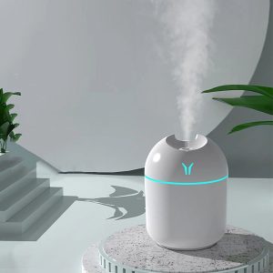 Air Humidifier With Night Lamp